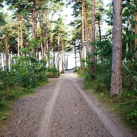 Piastogród *