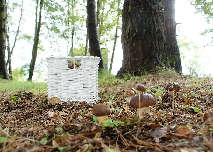 롯지 Piastogrod 야로수아비크